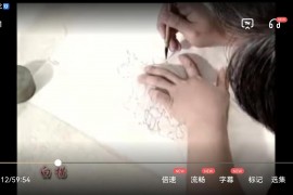 孔智明工筆花鳥畫視頻課程2集寫意畫教程百度網盤下載學習
